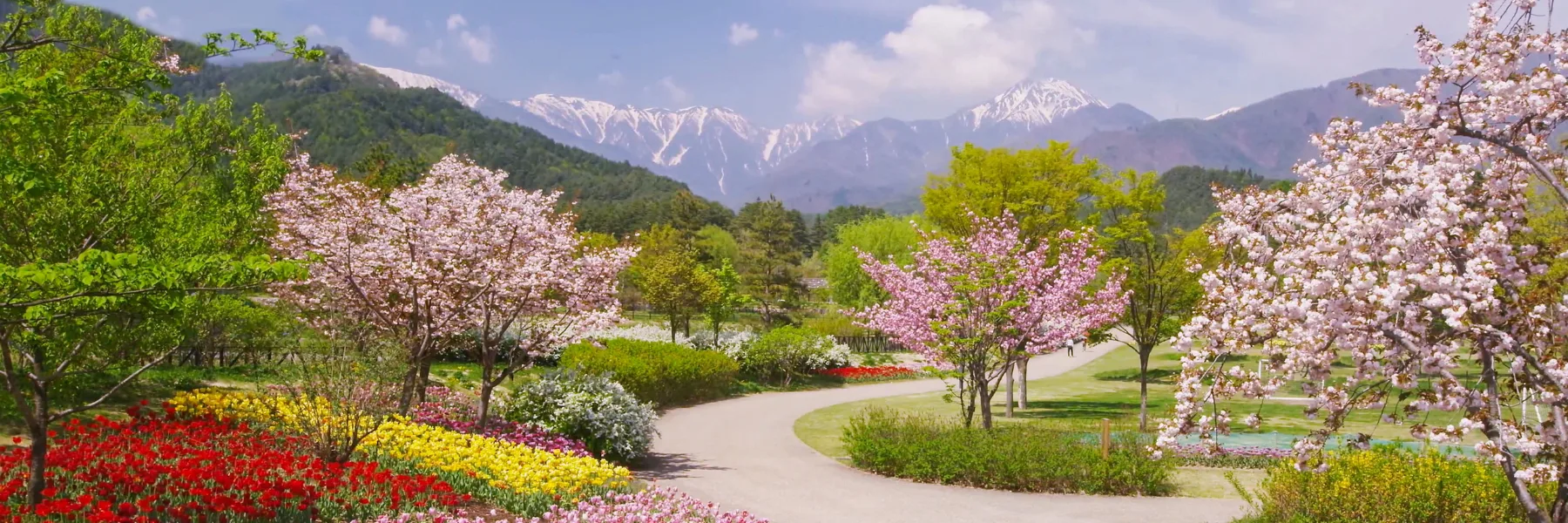 Alpes Natur' · Anne Luisier