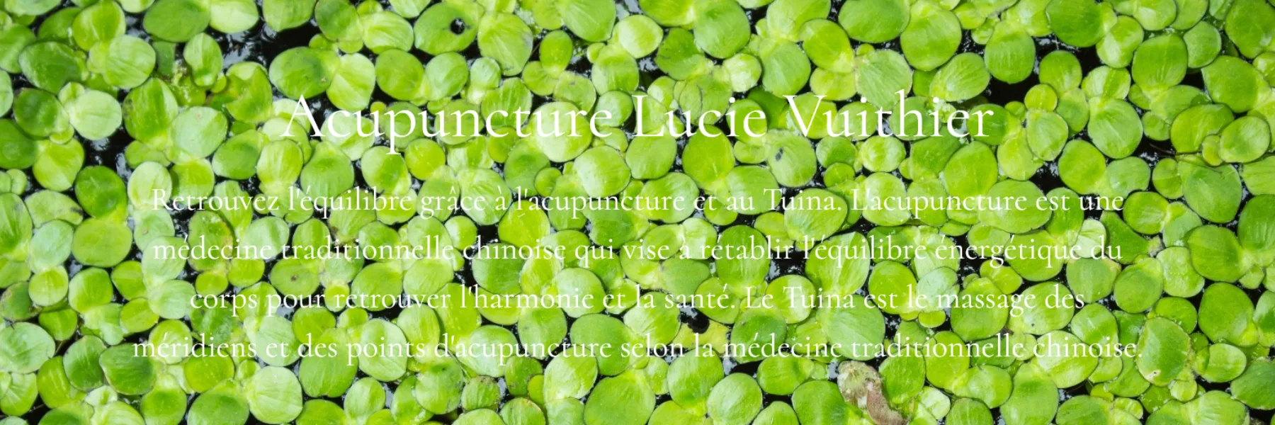 Acupuncture Neuchâtel - Lucie Vuithier