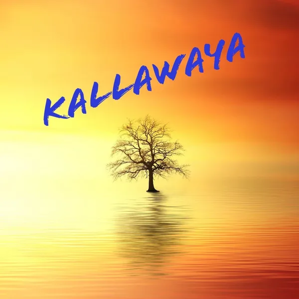 Kallawaya Sàrl - G. Monnier & R. Antoniadis