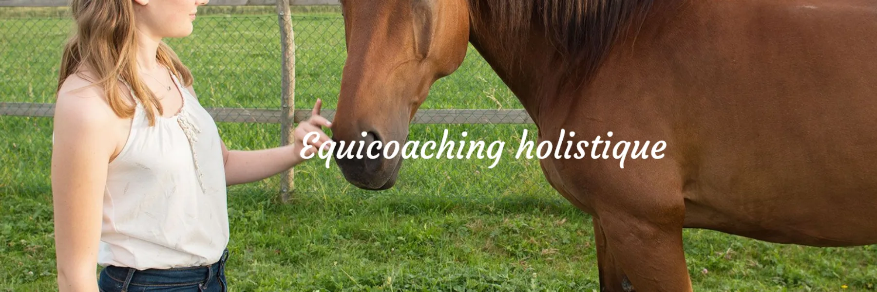 Equicoaching.ch - Nathalie Horvath Hasenauser