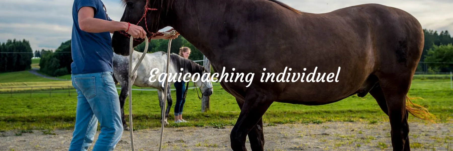 Equicoaching.ch - Nathalie Horvath Hasenauser