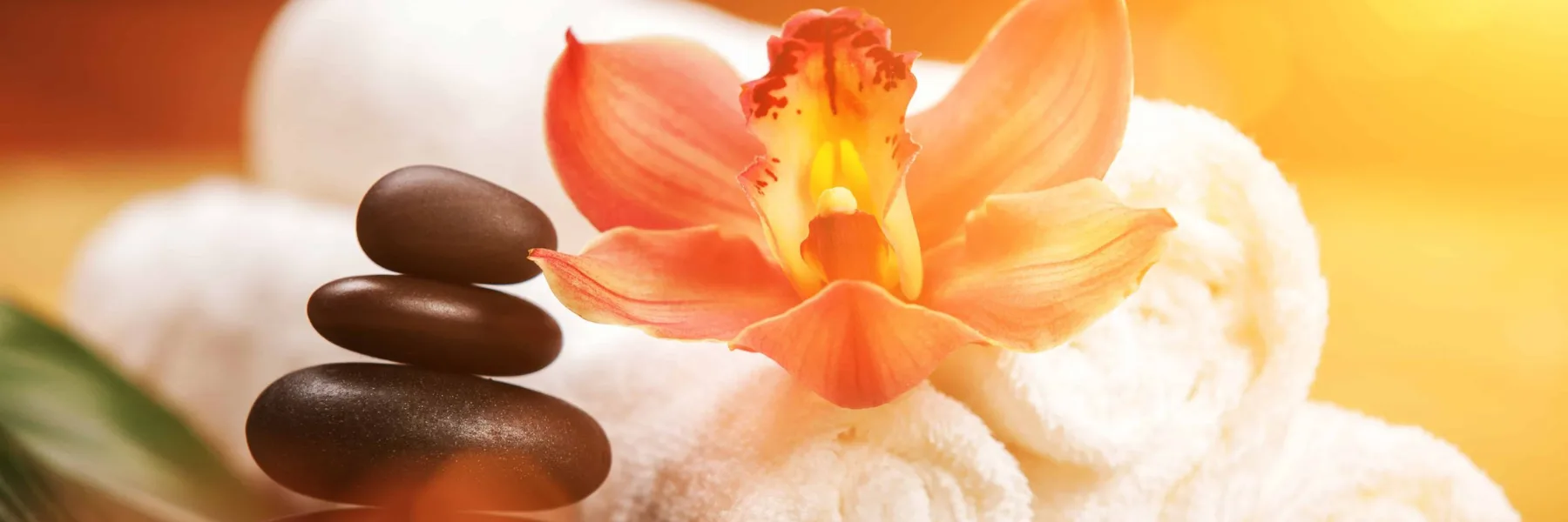Massage Thai Wat Pho Lausanne