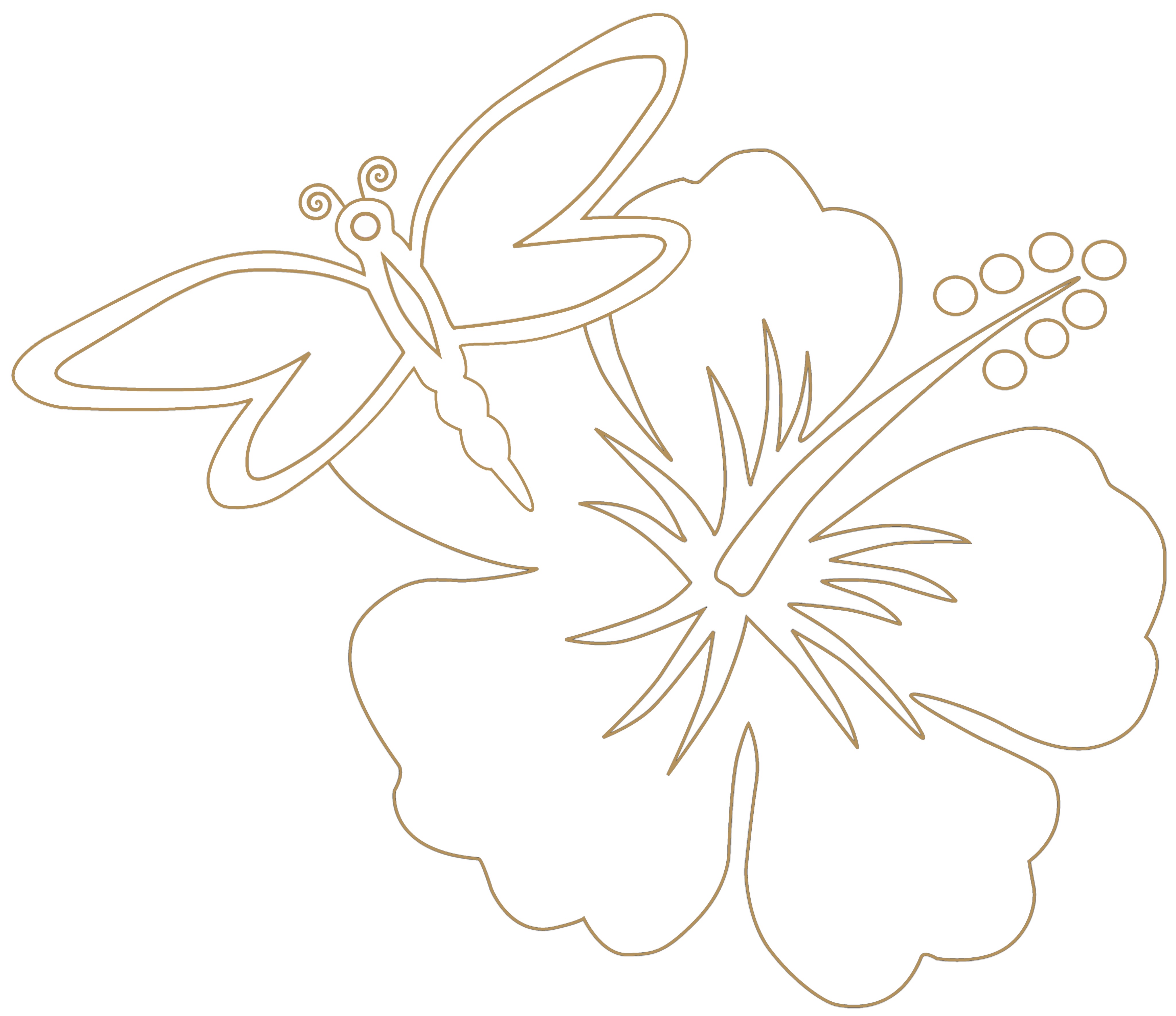 MassÂme - Katia Chamorel