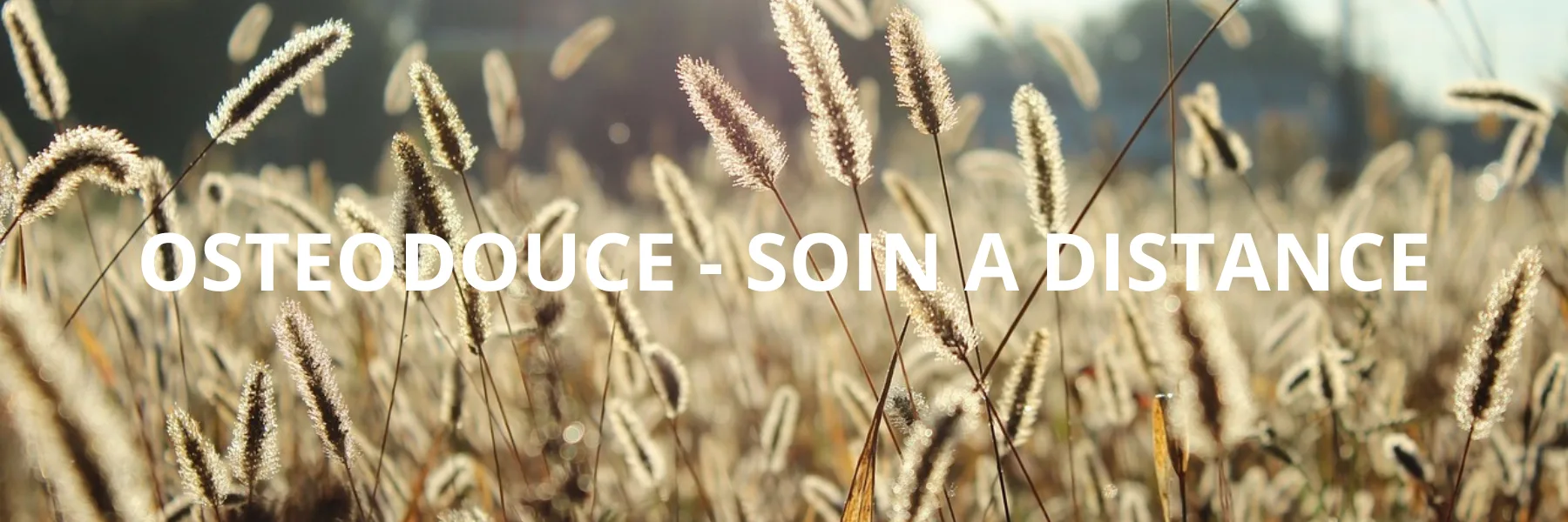 Ostéodouce - Soin à distance | Micheline et Jessica