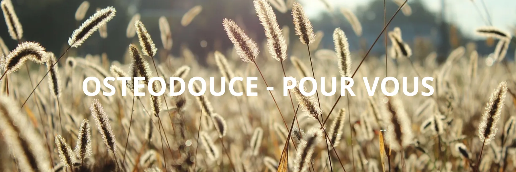Ostéodouce - Soin à distance | Micheline et Jessica