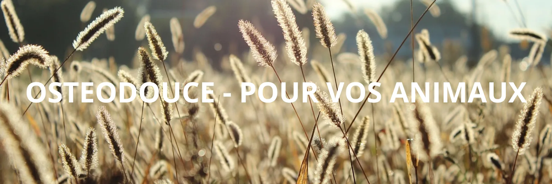 Ostéodouce - Soin à distance | Micheline et Jessica