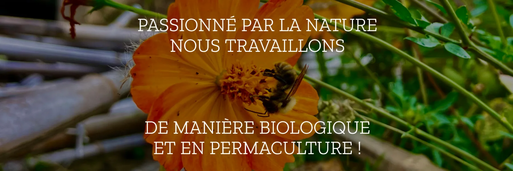 Jardins Suspendus