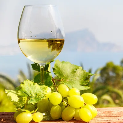 Caviste à Montreux | Magasin de vin Montreux