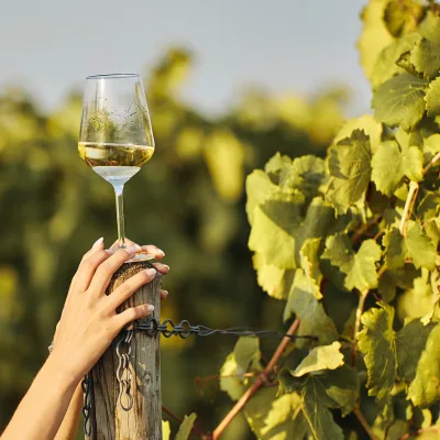 Caviste à Nyon | Magasin de vin et dégustation