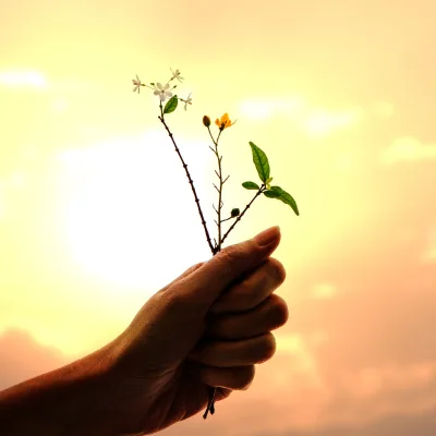 L'Importance de la Gratitude : Cultiver un État d'Esprit Transformateur au Quotidien
