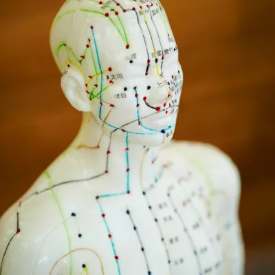 Les Points d'Acupuncture et Leur Signification : Tradition et Modernité